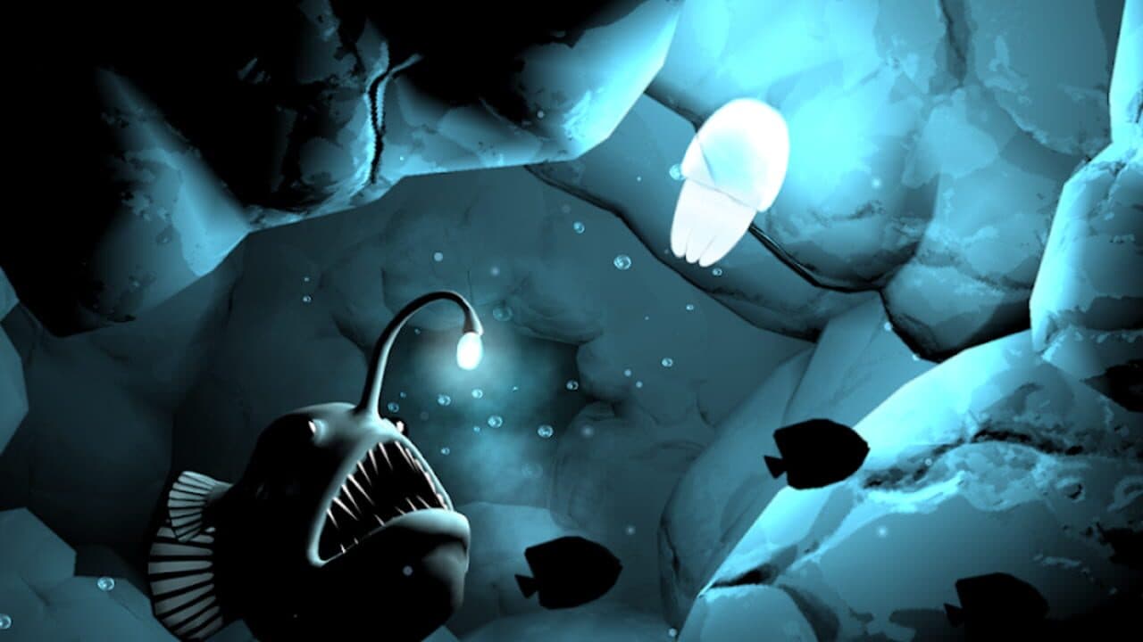 Seashine thumbnail 4