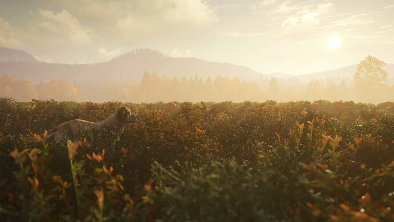 TheHunter: Call of the Wild - Ultimate Hunting Bundle thumbnail 2