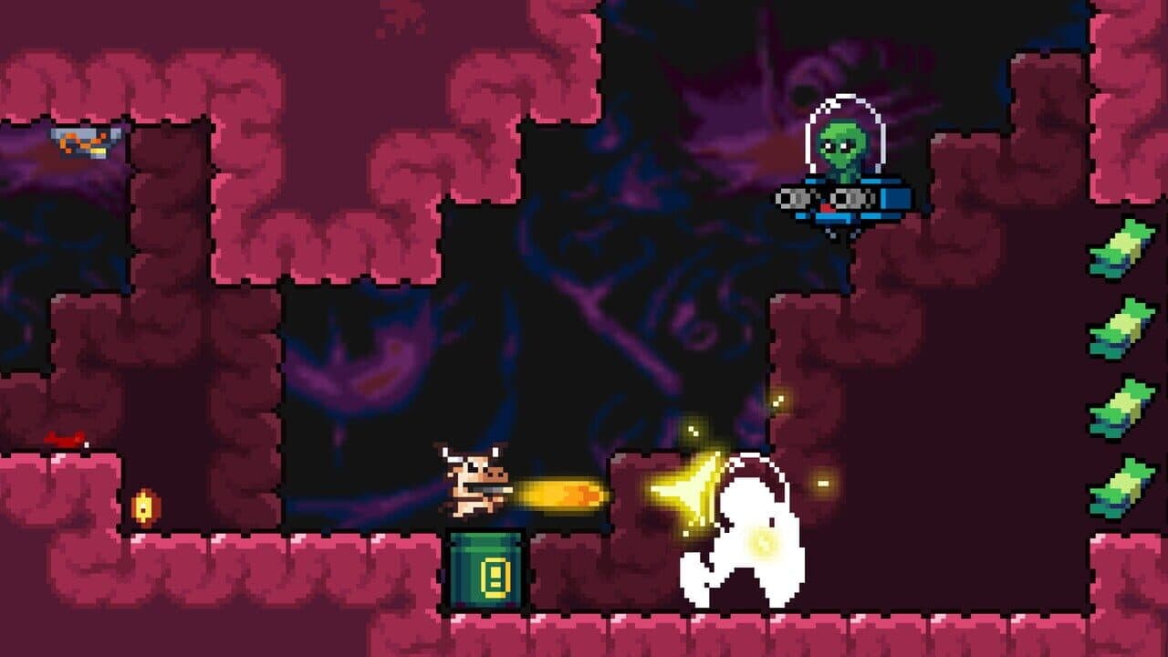 M.A.D. Cows and D.U.M.B. Ducks Bundle thumbnail 2