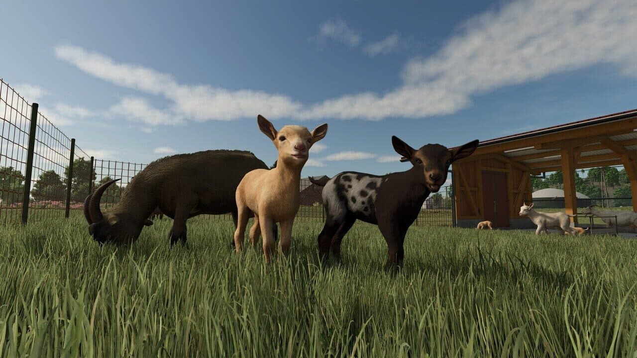 Farming Simulator 25: Year 1 Bundle thumbnail 4