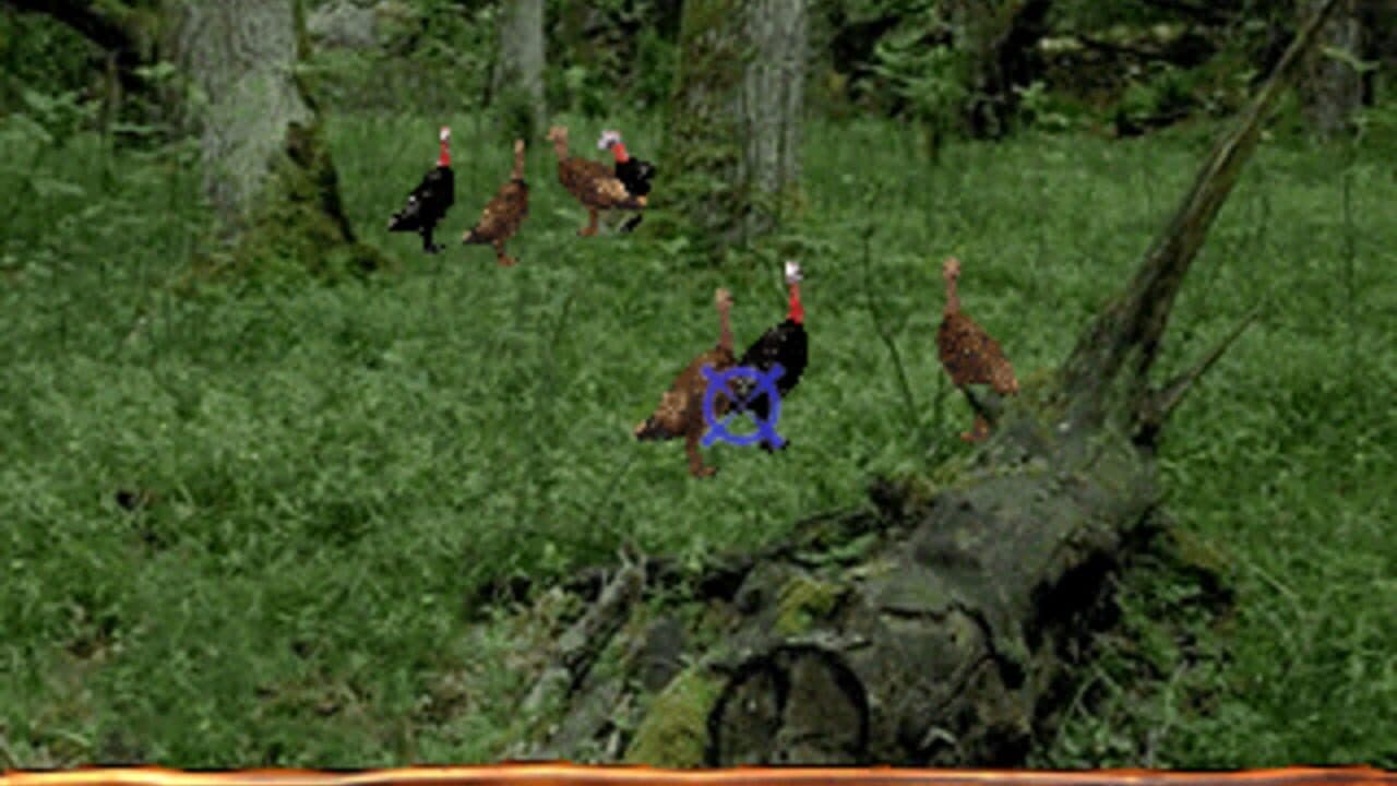 Turkey Hunting USA thumbnail 5