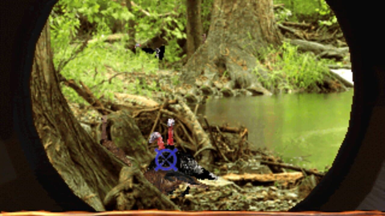 Turkey Hunting USA thumbnail 4