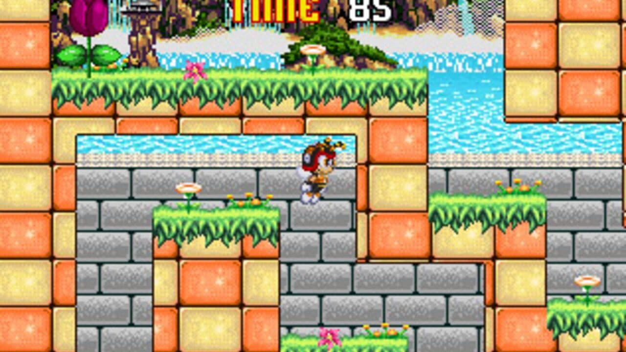 Charmy Maze screenshot 1