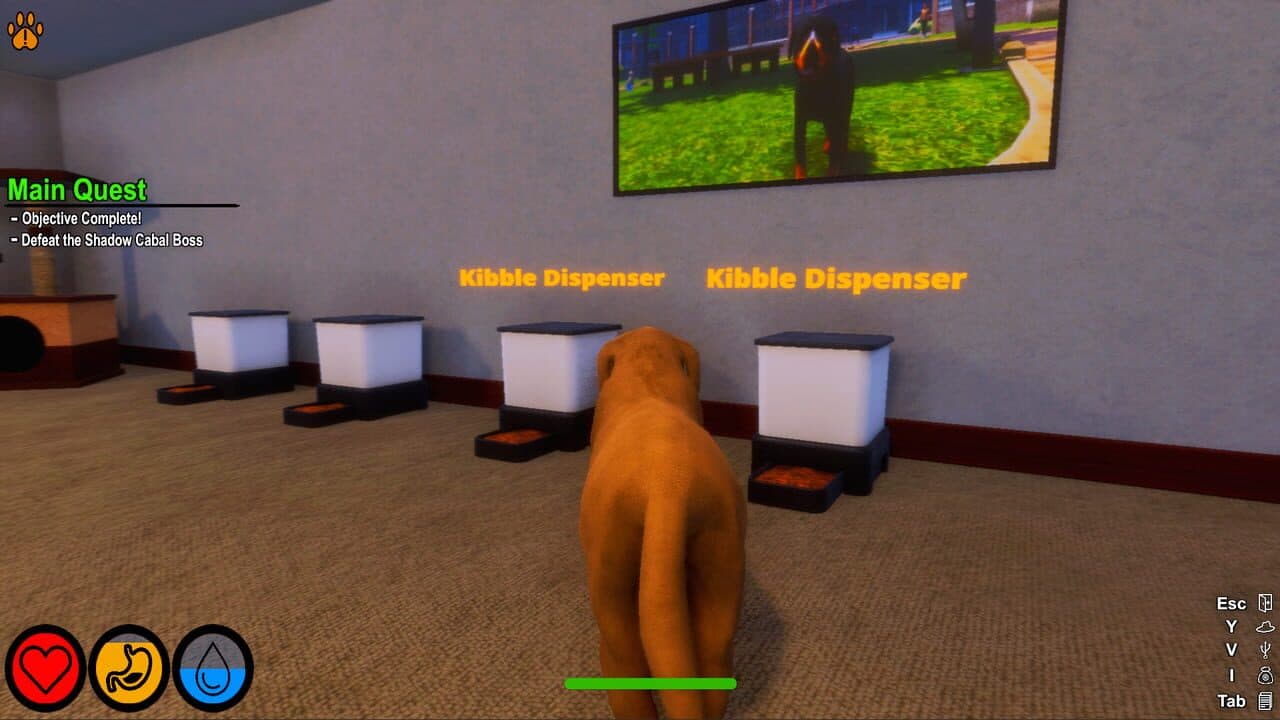Lost Paws thumbnail 12