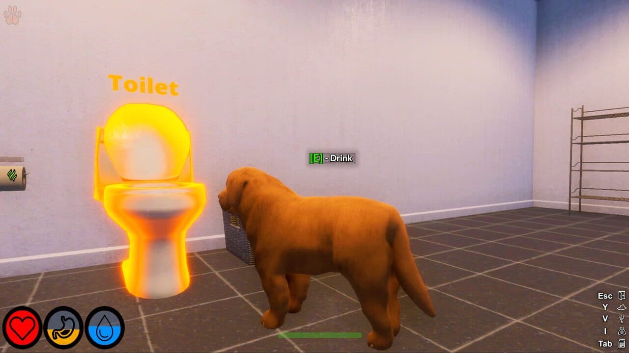 Lost Paws thumbnail 4