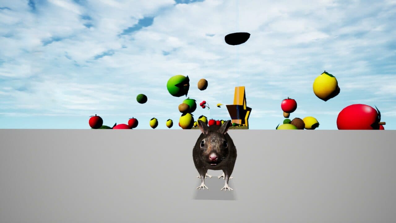 Rat Memory thumbnail 5