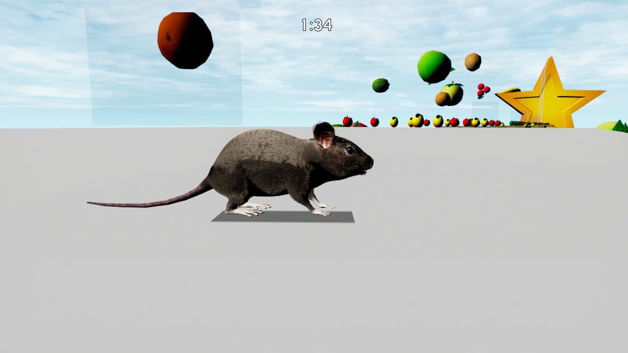 Rat Memory thumbnail 6
