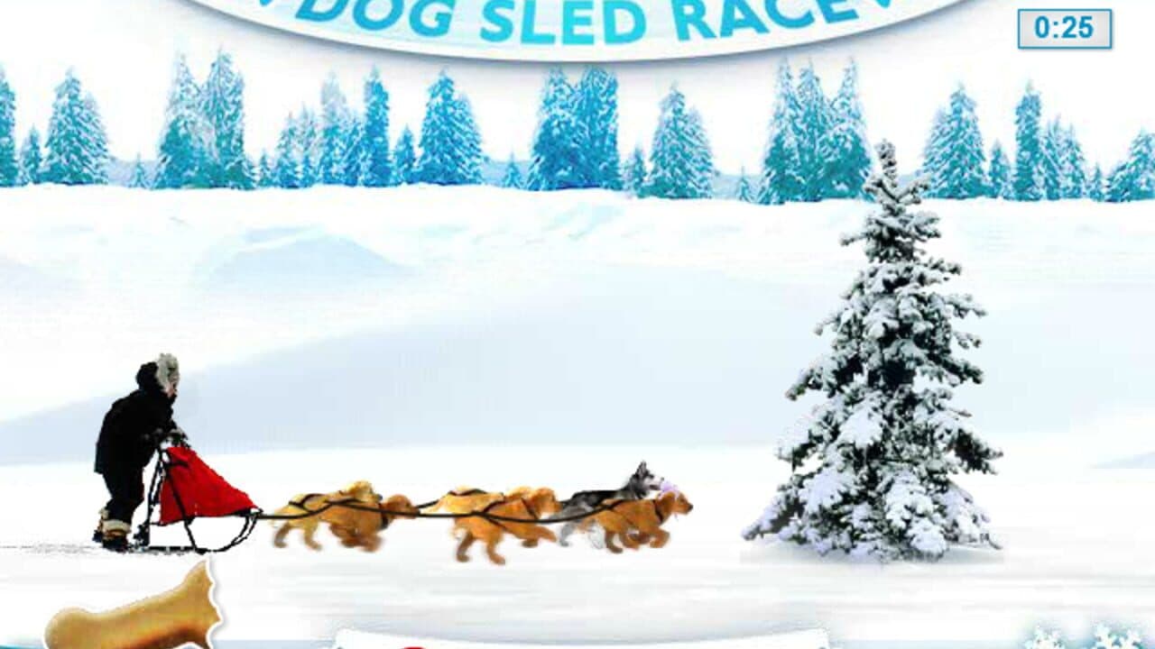 Snow Buddies: Dog Sled Race screenshot 1