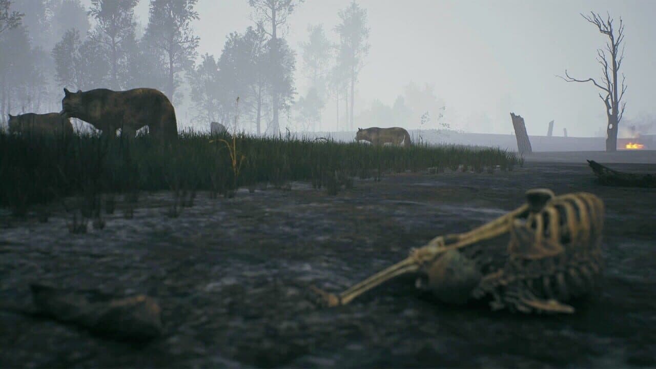 Fire: The First Dreamer thumbnail 11