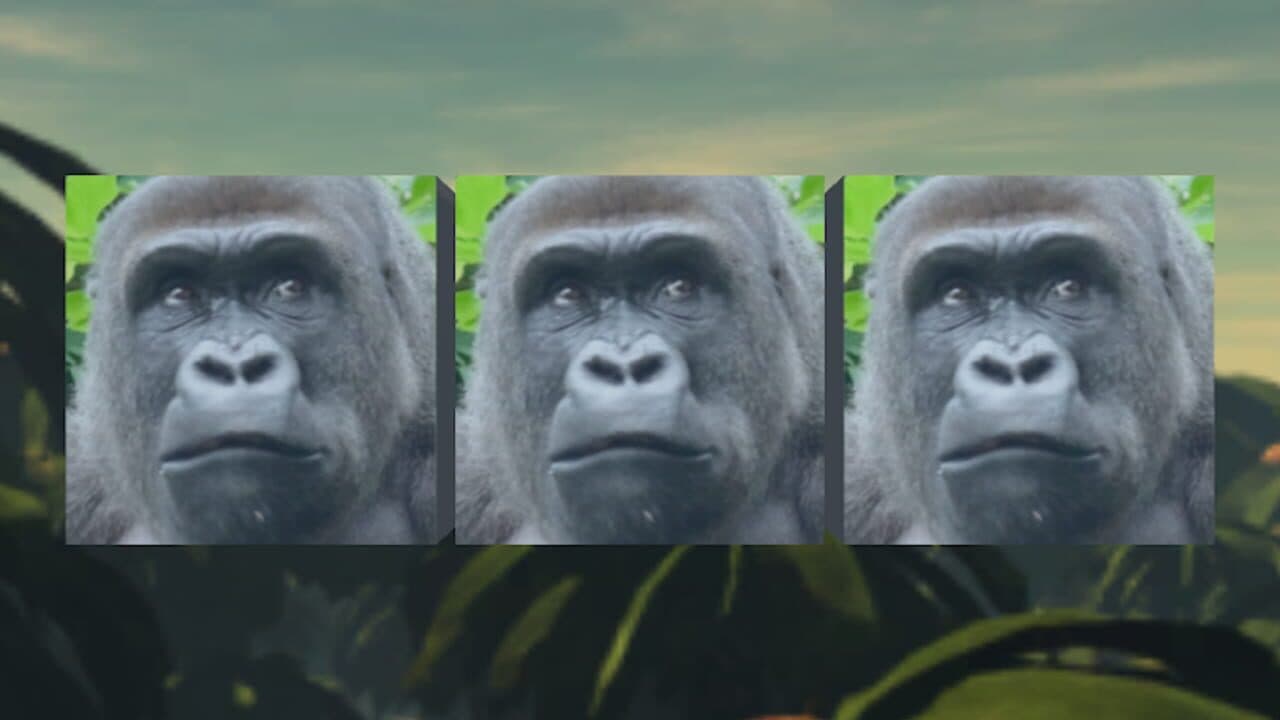 Gorilla Slot Infinity thumbnail 3