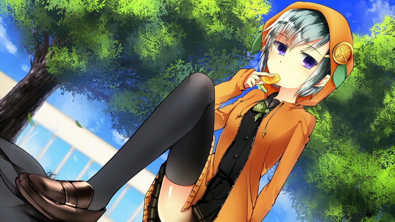 Kekkon Shugi Kokka thumbnail 2