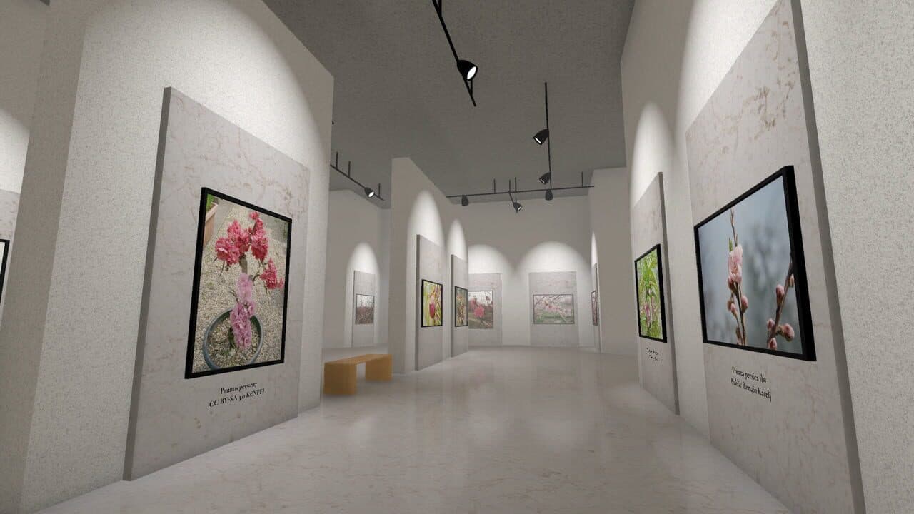 Museum of All Things thumbnail 5