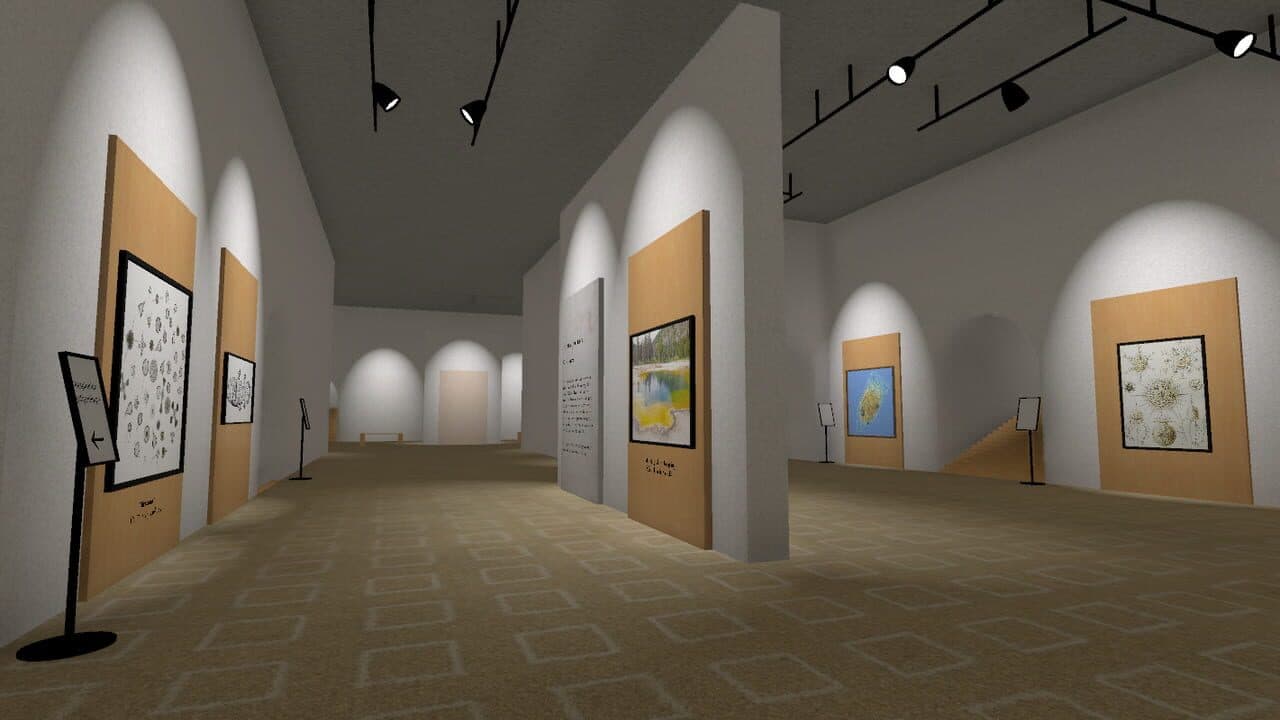 Museum of All Things thumbnail 3