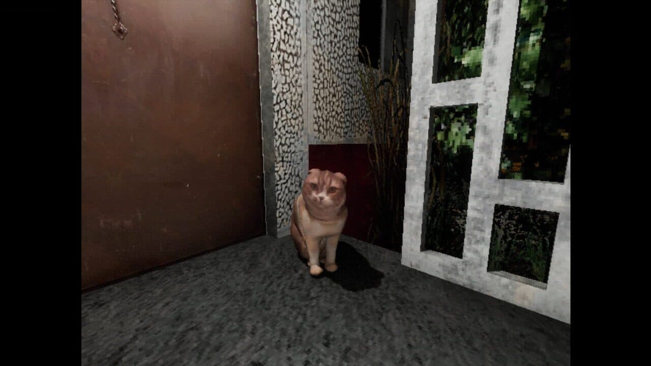 Salt thumbnail 3