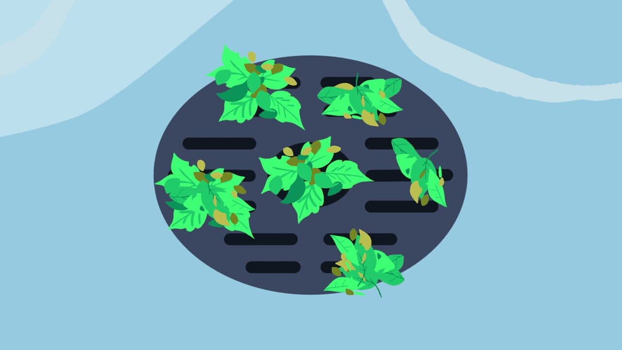 Spring Tales thumbnail 5