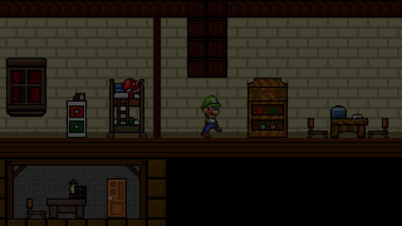 Luigi: Insanity screenshot 1