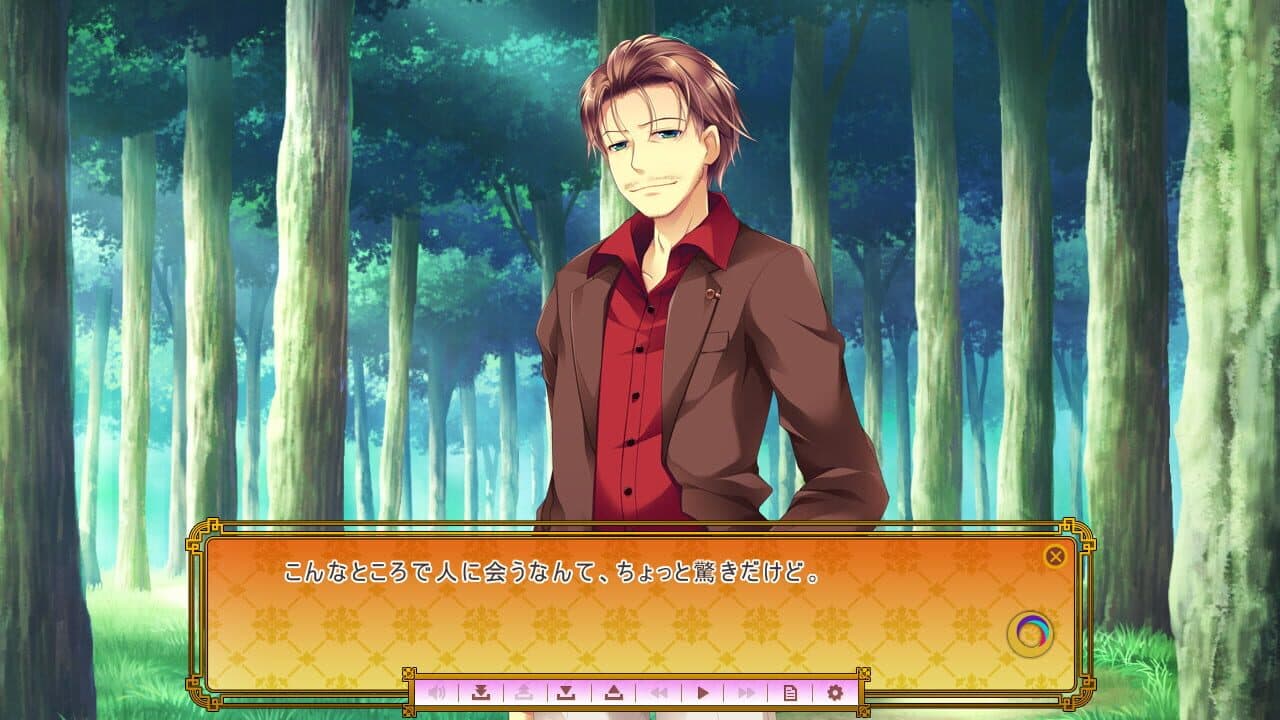 Golden Marriage: Jewel Days thumbnail 4
