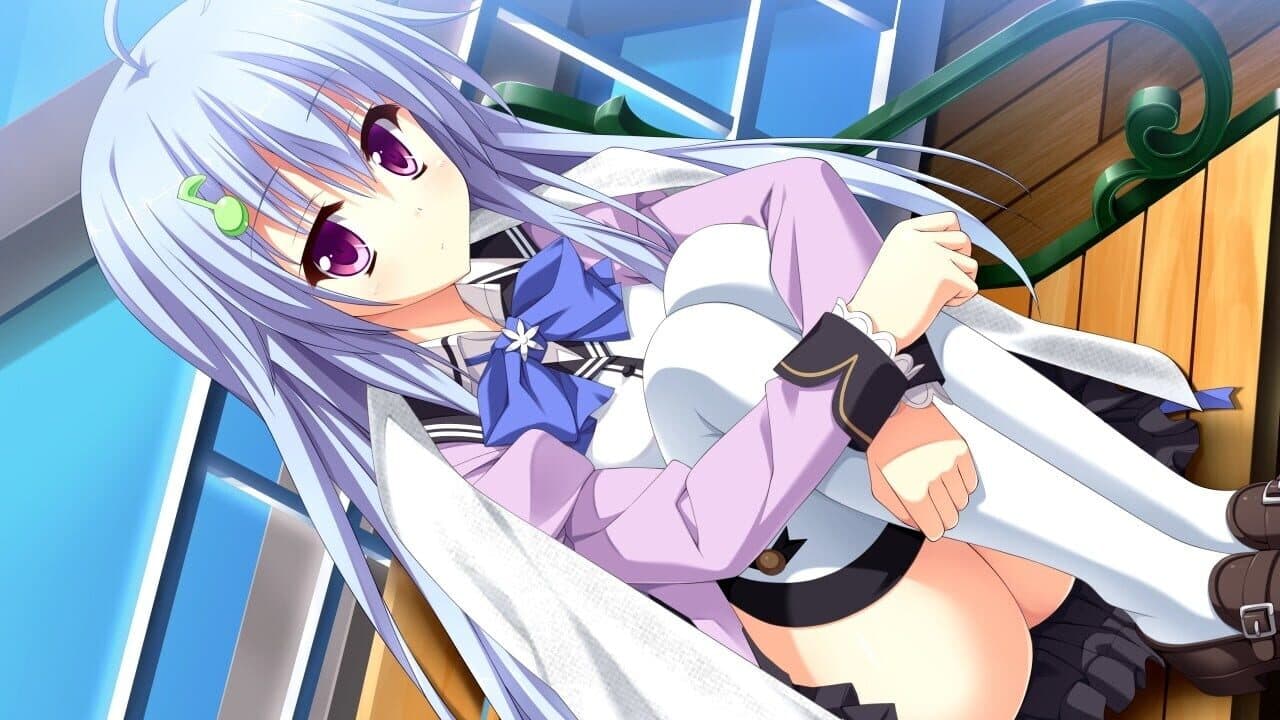 Koishiki Manual thumbnail 4