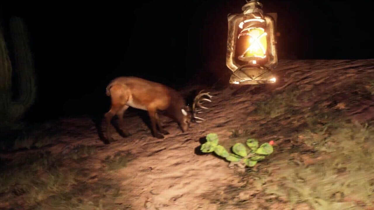 The Curse of Town thumbnail 5