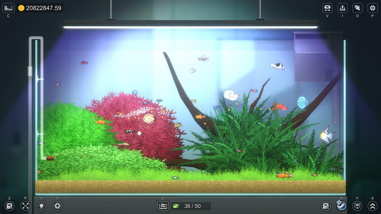 Joyquarium thumbnail 5
