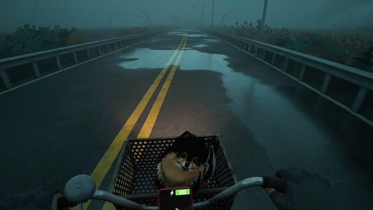Quite a Ride thumbnail 10