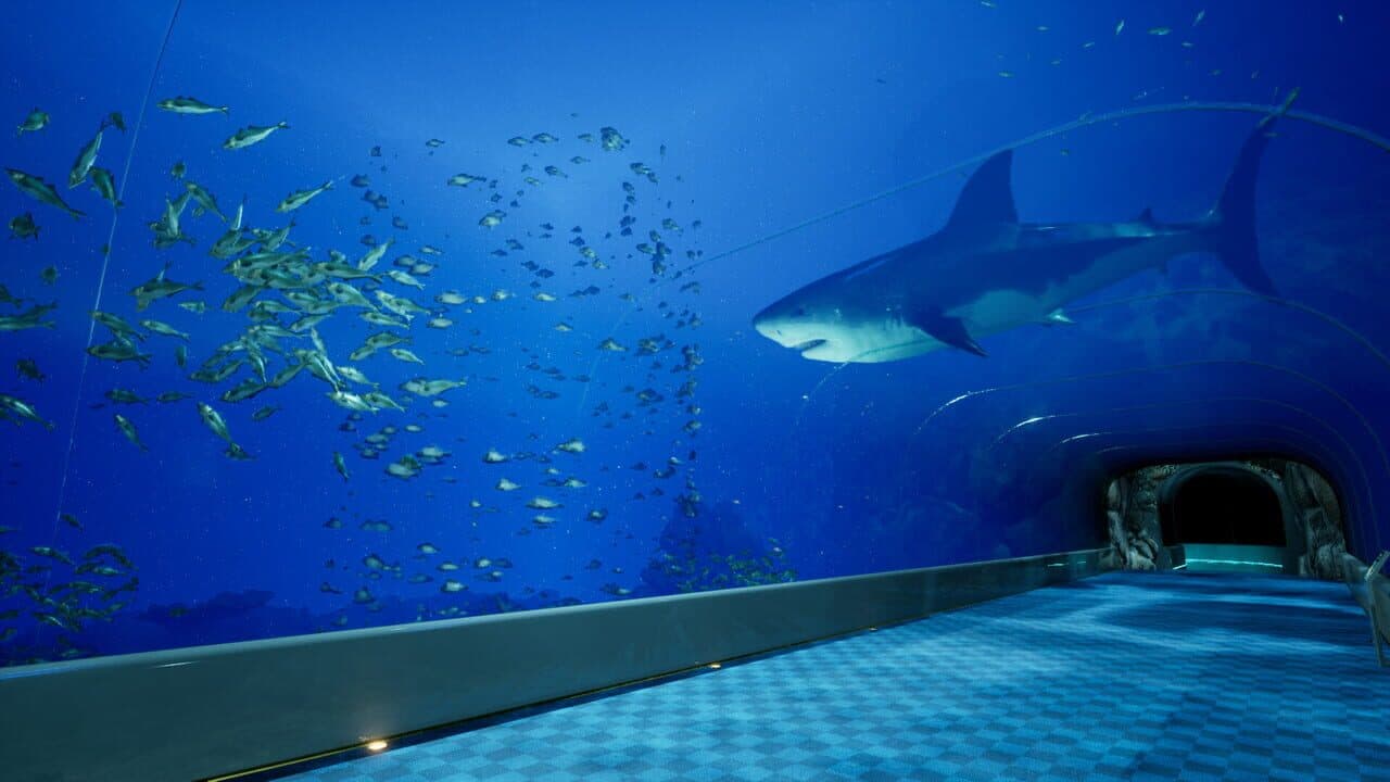 Aquarium at August 32nd thumbnail 2