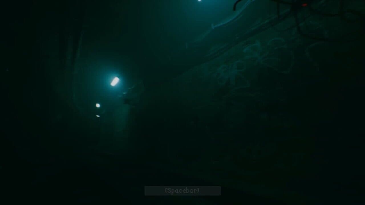 Turnout thumbnail 2