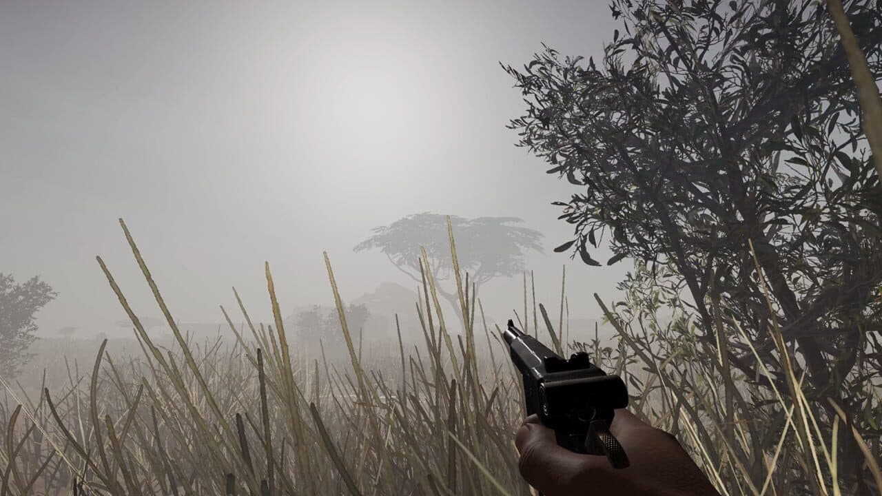 Dion thumbnail 4