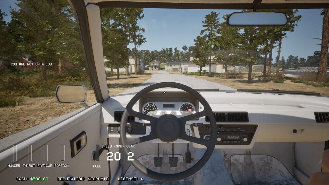 Driving Life thumbnail 9