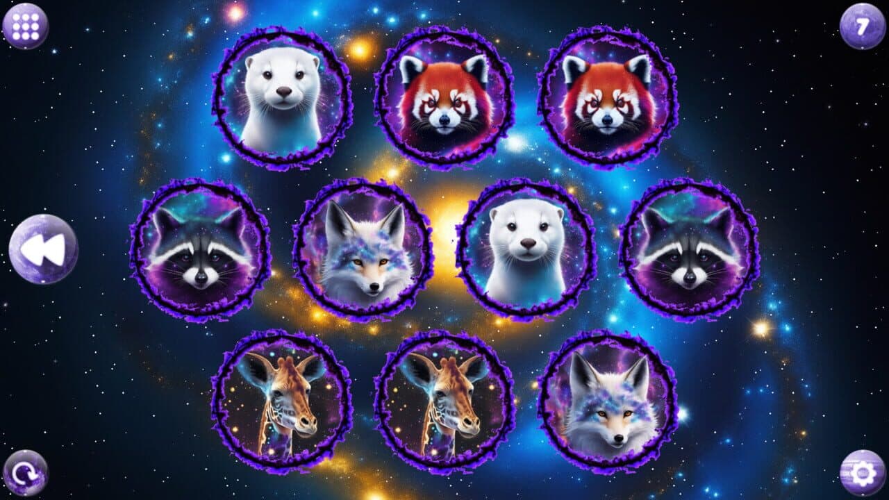 Space Memory: Animals thumbnail 5
