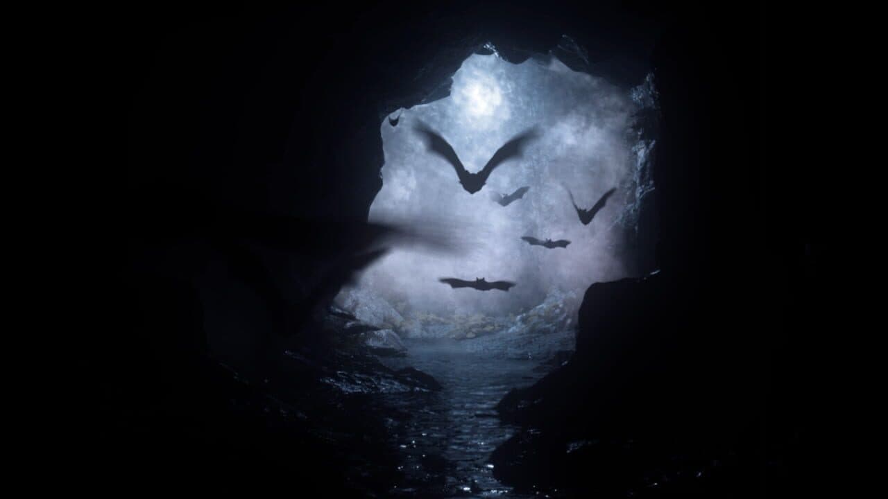 The Soul thumbnail 4