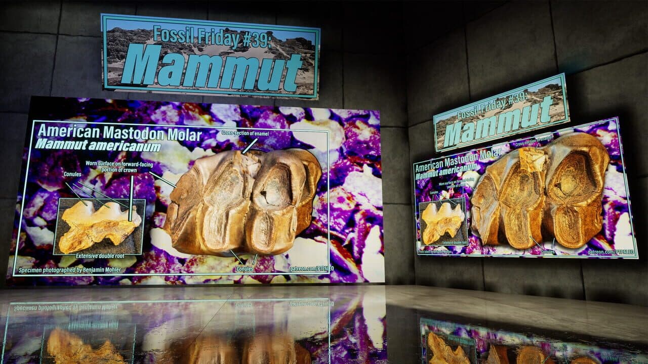ShadowBox: Mausoleum of Natural History thumbnail 2