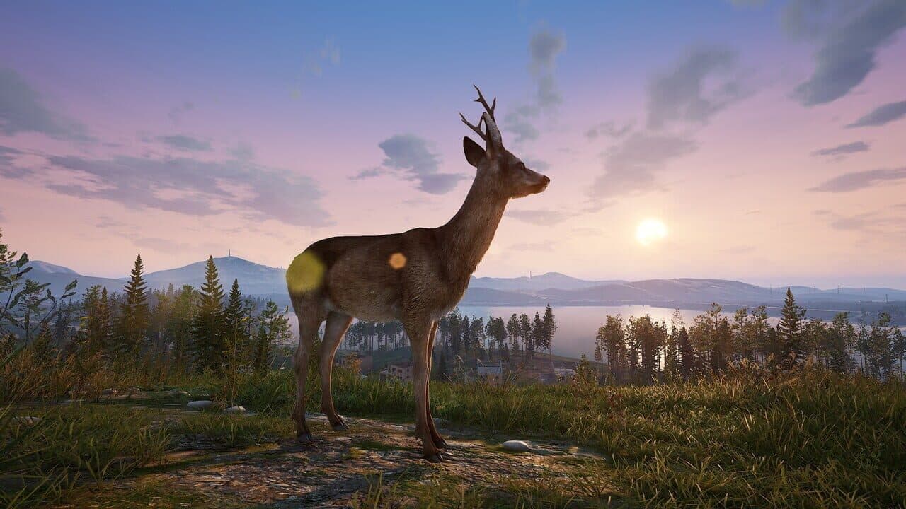 Deadside: Supporter Edition thumbnail 8