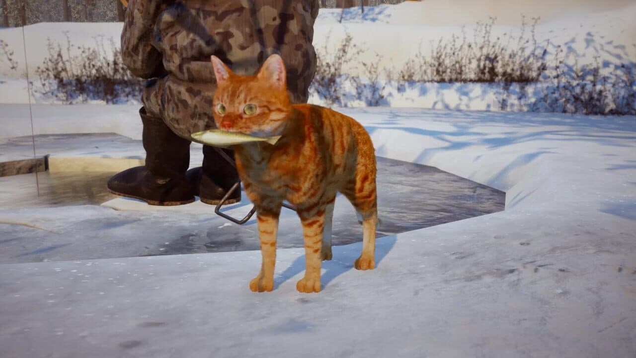 Russian Cat Simulator thumbnail 6