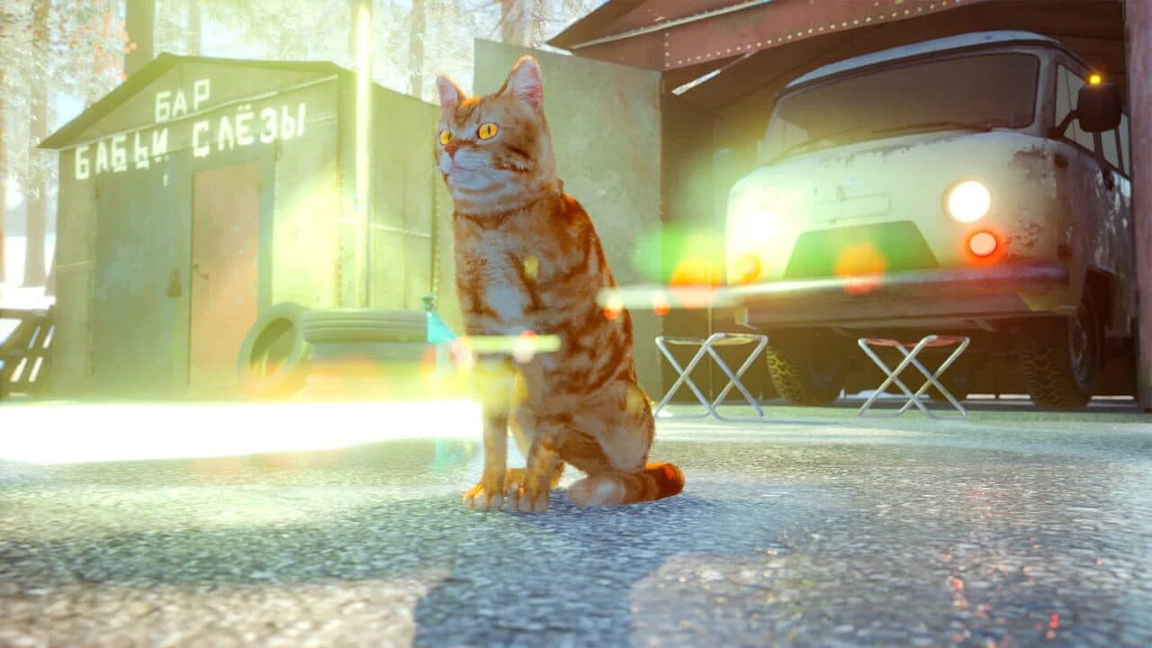 Russian Cat Simulator thumbnail 2