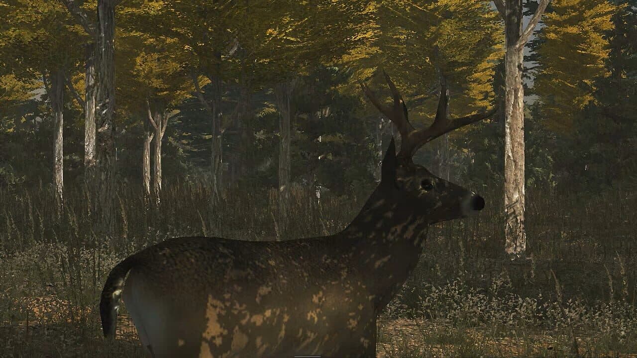 Deer Simulator thumbnail 3