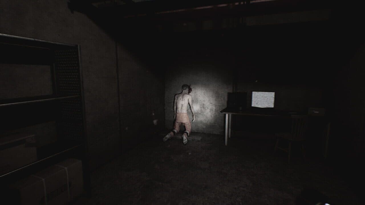 Moth thumbnail 4