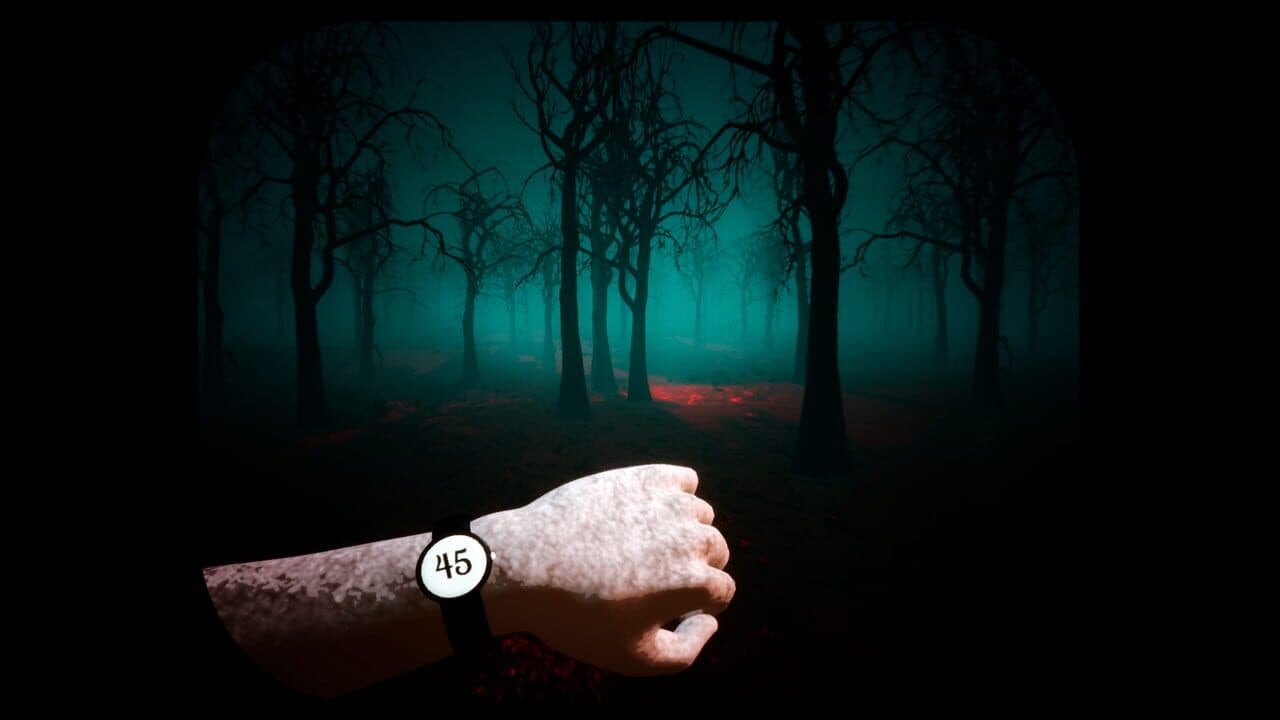A Mallard's Song screenshot 1