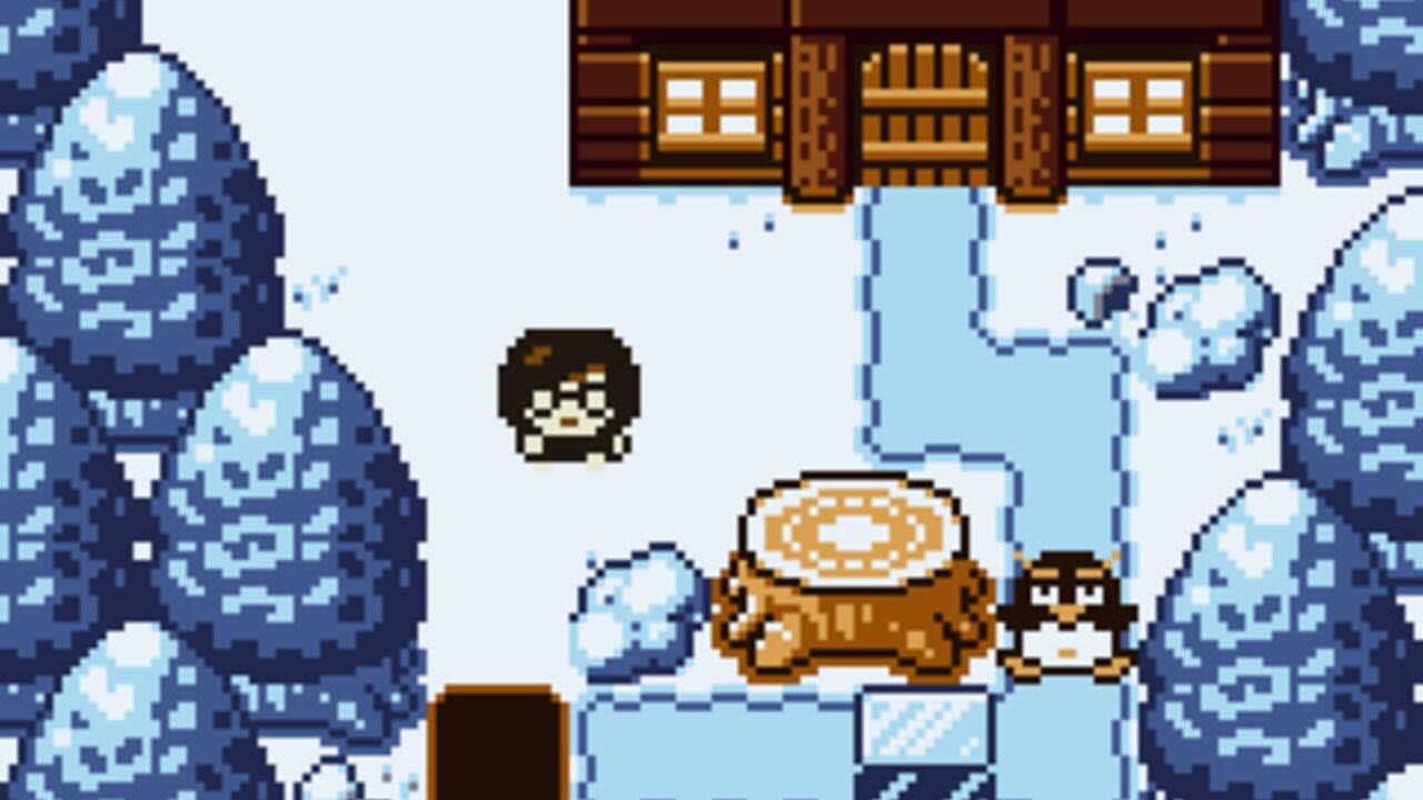 Knit-Wit thumbnail 2