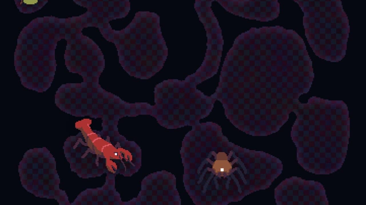 Shrew thumbnail 3