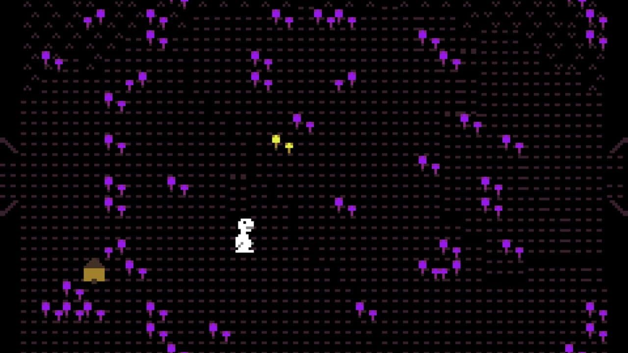 Carpet Gallery thumbnail 25