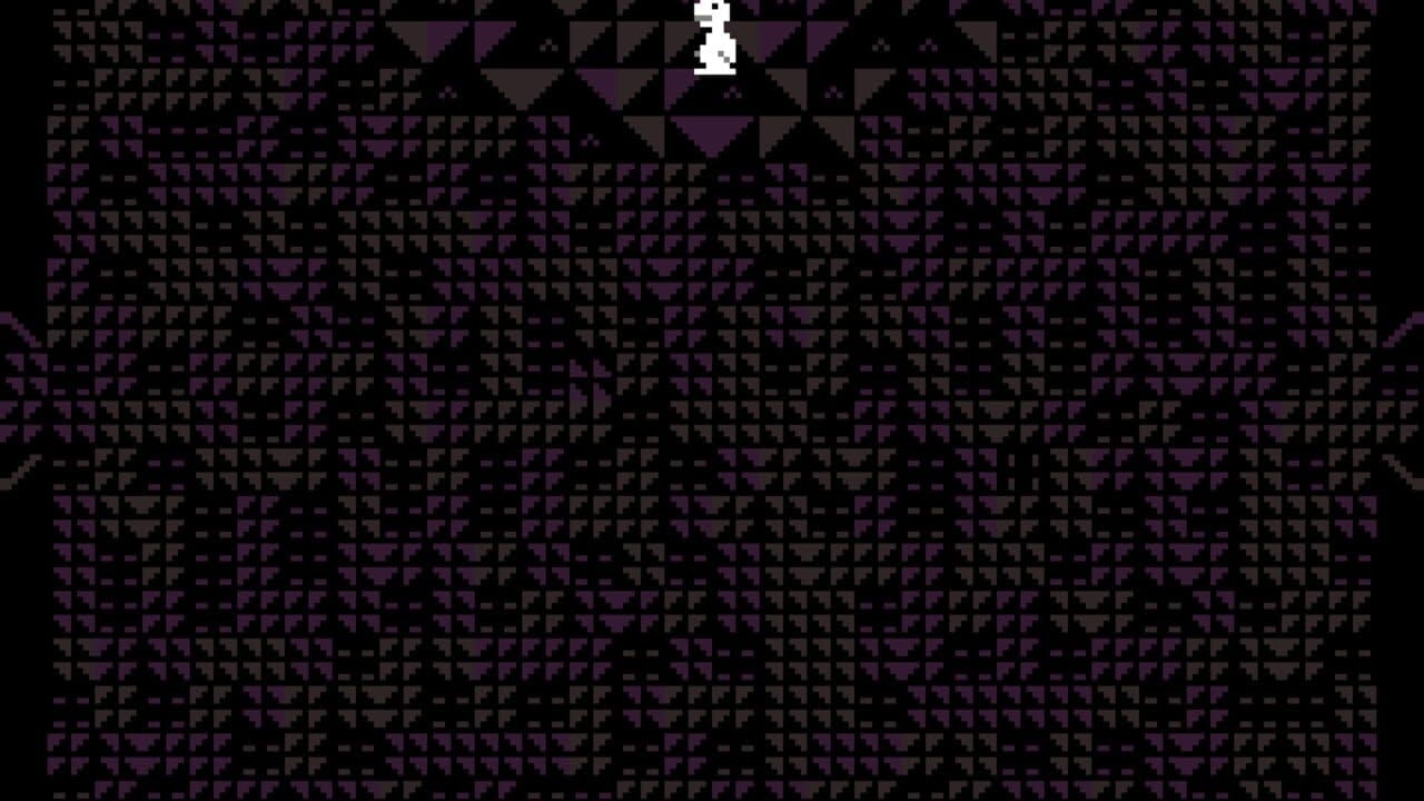 Carpet Gallery thumbnail 16