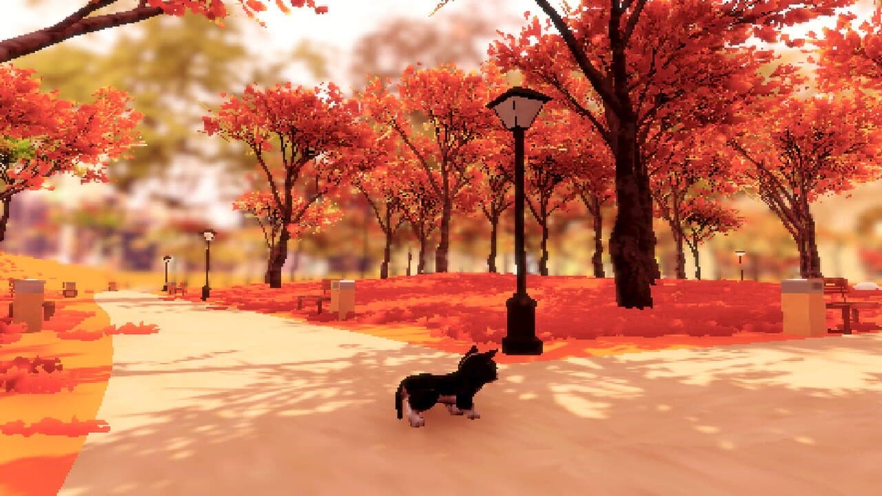 Fluffy Autumn thumbnail 4