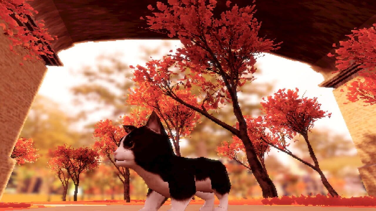 Fluffy Autumn thumbnail 7