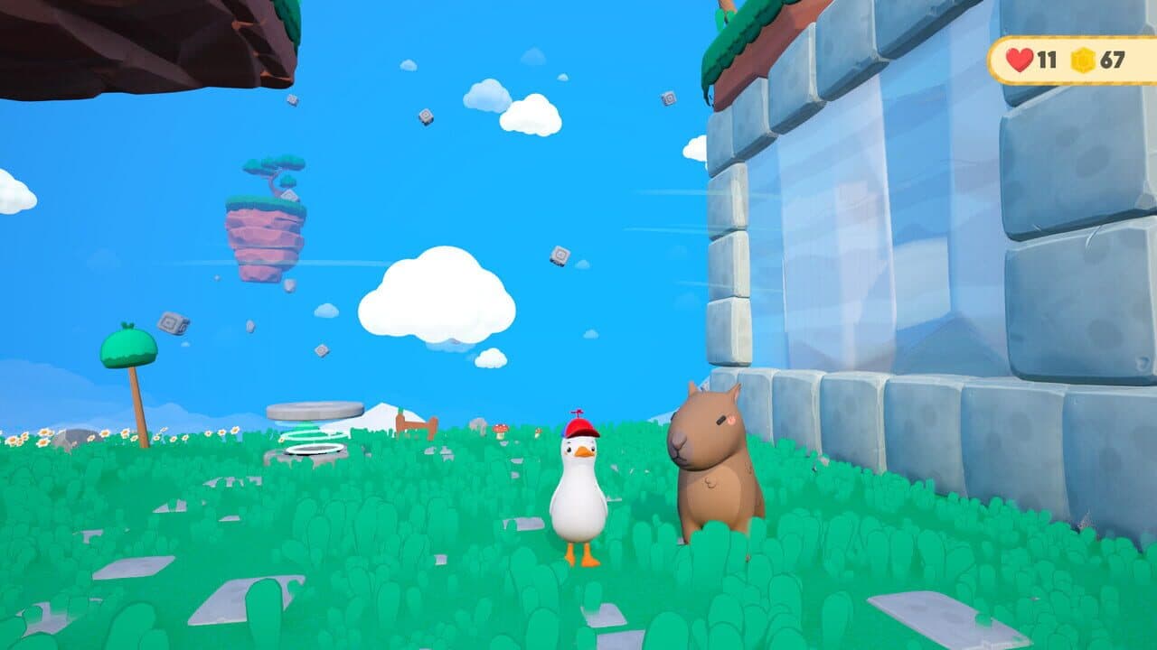 Dodo Duckie thumbnail 6