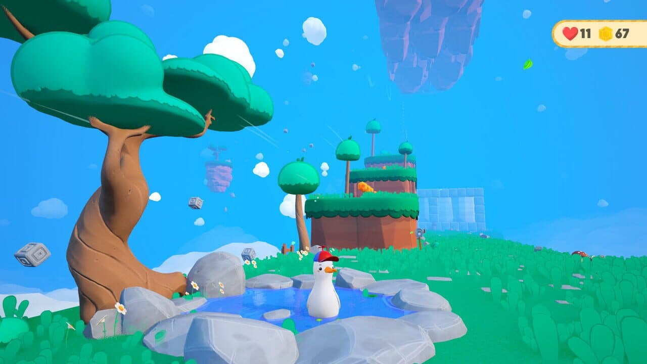 Dodo Duckie thumbnail 4