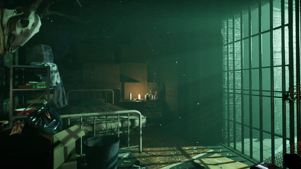 Reflection thumbnail 6