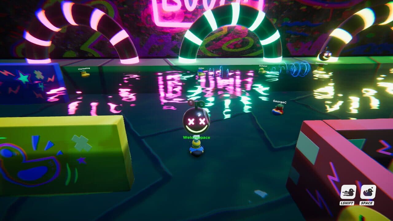Slowly Sliding Ducks thumbnail 3