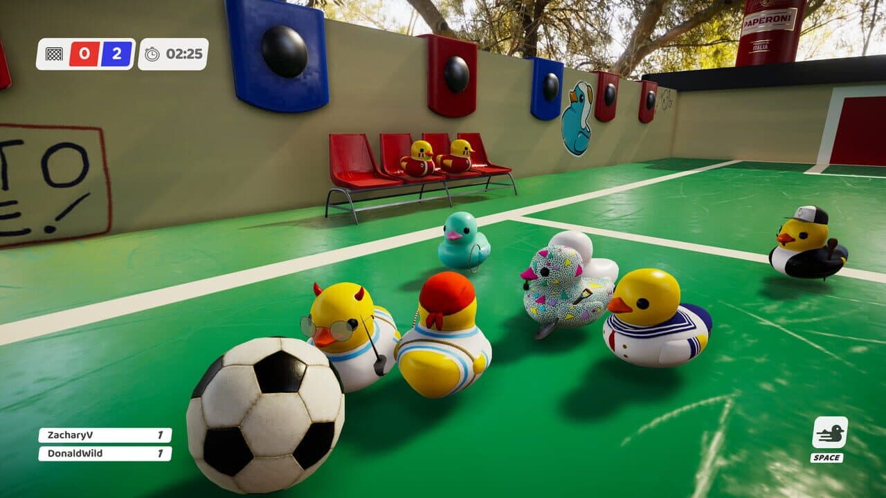 Slowly Sliding Ducks thumbnail 7