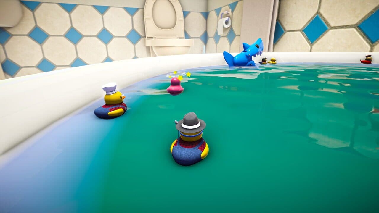 Slowly Sliding Ducks thumbnail 2